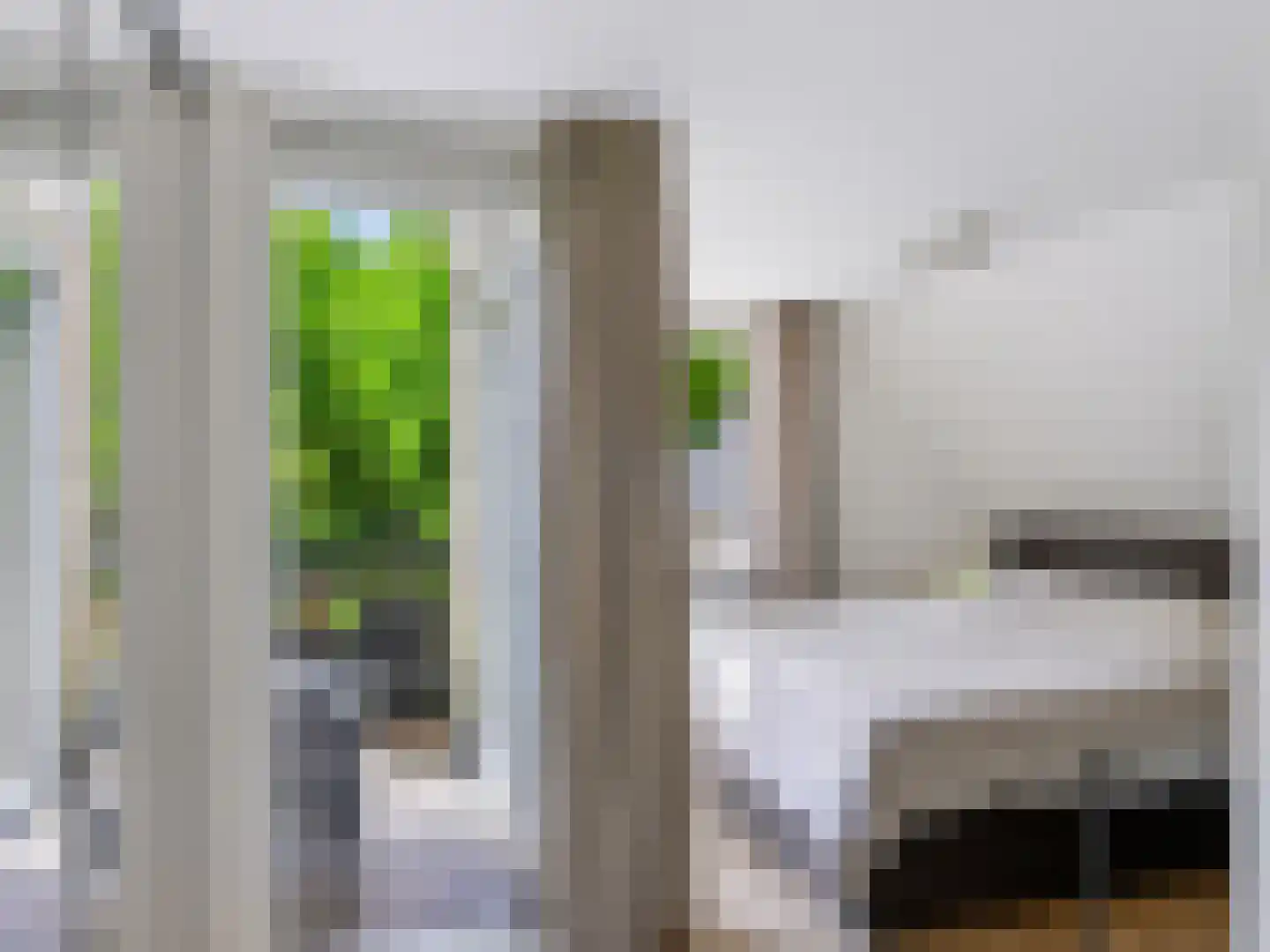 Nachtegalenlaantje 14 Bergen (NH) thumbnail 33