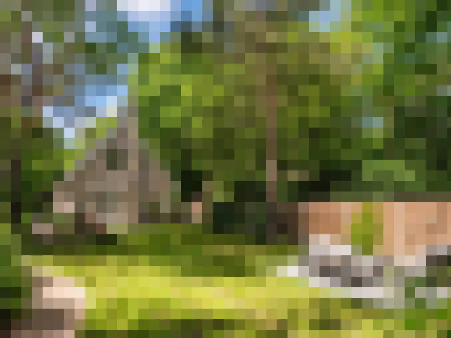 Nachtegalenlaantje 14 Bergen (NH) thumbnail 45