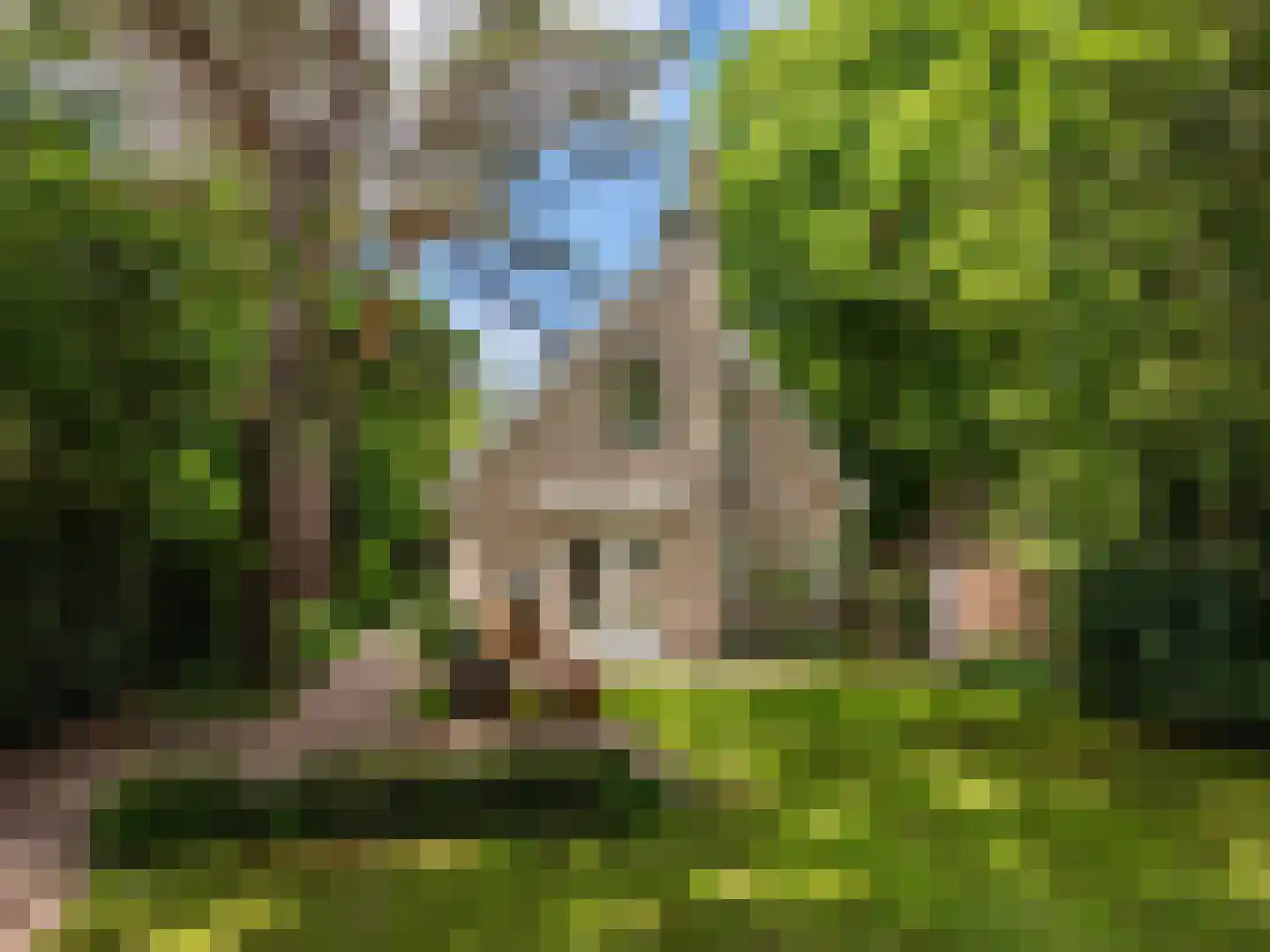 Nachtegalenlaantje 14 Bergen (NH) thumbnail 46