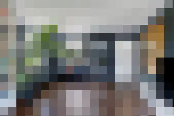 Nachtegalenpad 2 C Egmond aan den Hoef thumbnail 13