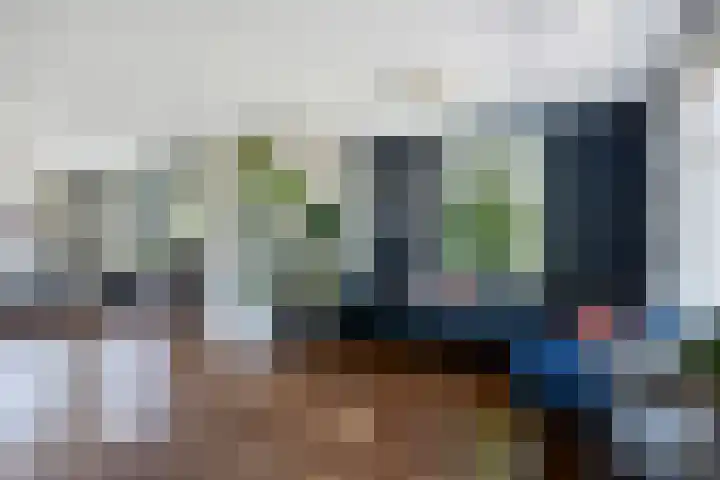 Nachtegalenpad 2 C Egmond aan den Hoef thumbnail 14