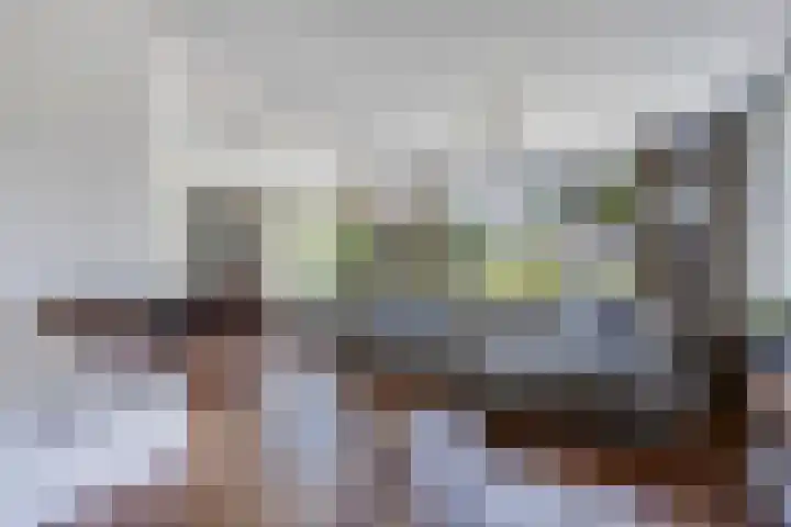 Nachtegalenpad 2 C Egmond aan den Hoef thumbnail 16