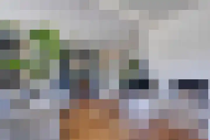 Nachtegalenpad 2 C Egmond aan den Hoef thumbnail 17