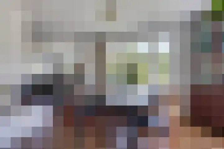 Nachtegalenpad 2 C Egmond aan den Hoef thumbnail 21