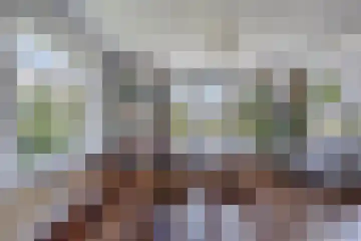 Nachtegalenpad 2 C Egmond aan den Hoef thumbnail 22