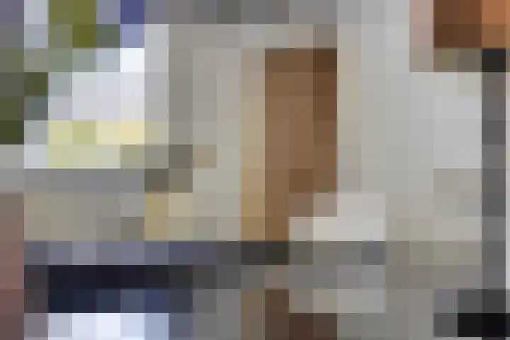 Nachtegalenpad 2 C Egmond aan den Hoef thumbnail 25