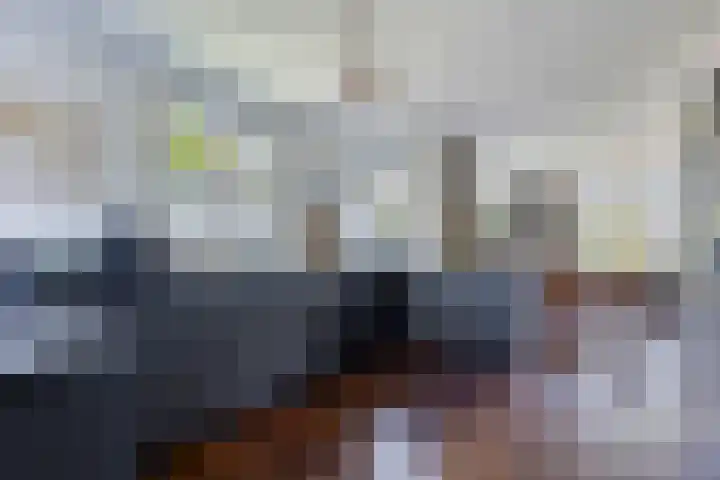 Nachtegalenpad 2 C Egmond aan den Hoef thumbnail 27