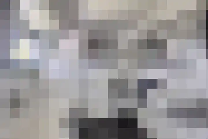 Nachtegalenpad 2 C Egmond aan den Hoef thumbnail 31