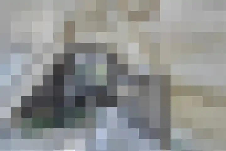 Nachtegalenpad 2 C Egmond aan den Hoef thumbnail 37