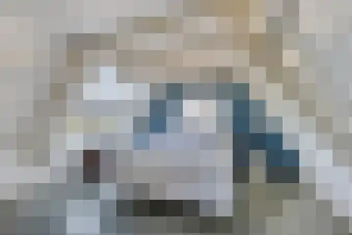 Nachtegalenpad 2 C Egmond aan den Hoef thumbnail 4