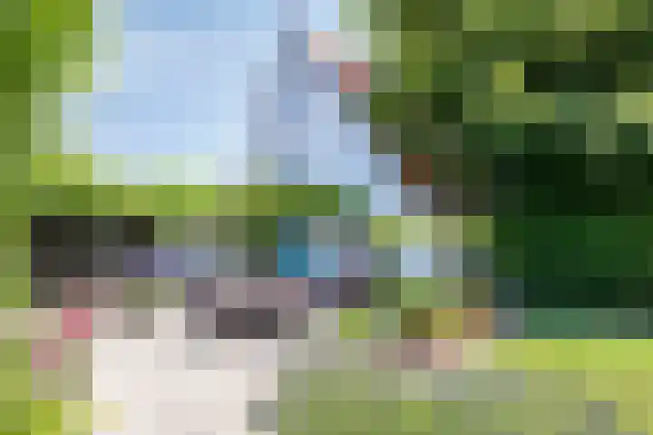 Nachtegalenpad 2 C Egmond aan den Hoef thumbnail 40