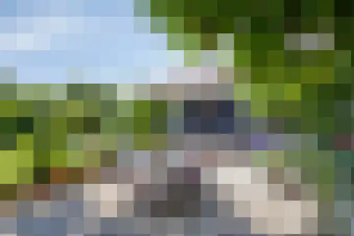 Nachtegalenpad 2 C Egmond aan den Hoef thumbnail 42