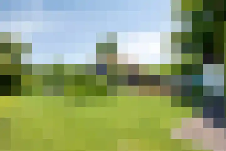 Nachtegalenpad 2 C Egmond aan den Hoef thumbnail 43
