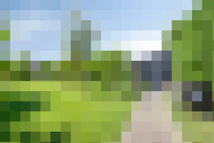 Nachtegalenpad 2 C Egmond aan den Hoef thumbnail 45
