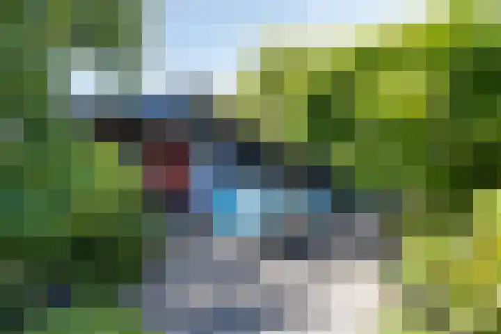 Nachtegalenpad 2 C Egmond aan den Hoef thumbnail 46