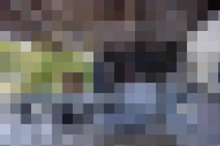 Nachtegalenpad 2 C Egmond aan den Hoef thumbnail 47