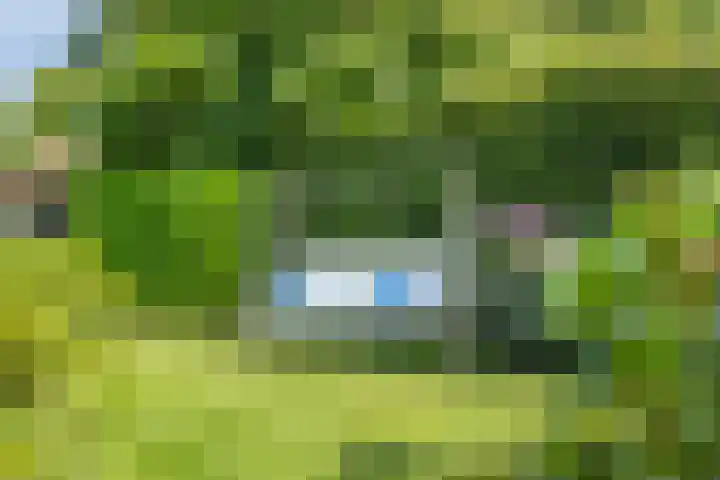 Nachtegalenpad 2 C Egmond aan den Hoef thumbnail 48