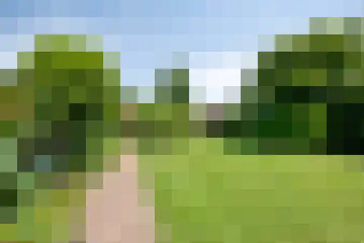 Nachtegalenpad 2 C Egmond aan den Hoef thumbnail 49