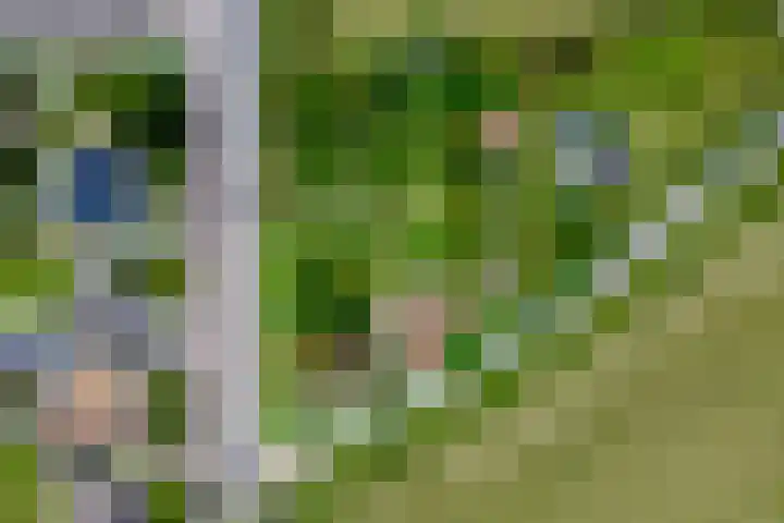 Nachtegalenpad 2 C Egmond aan den Hoef thumbnail 5