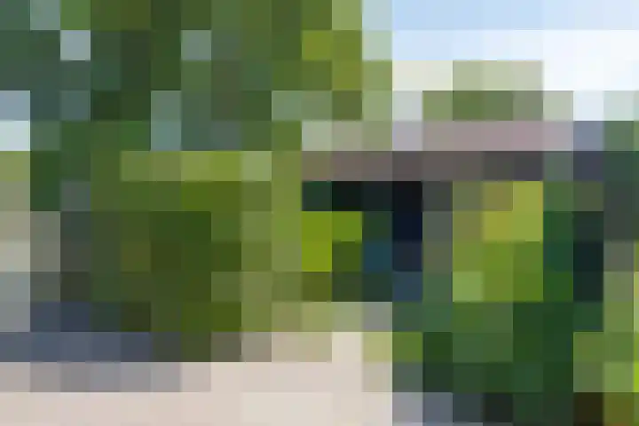 Nachtegalenpad 2 C Egmond aan den Hoef thumbnail 54