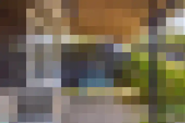 Nachtegalenpad 2 C Egmond aan den Hoef thumbnail 55