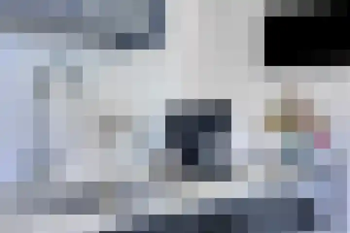 Nachtegalenpad 2 C Egmond aan den Hoef thumbnail 58