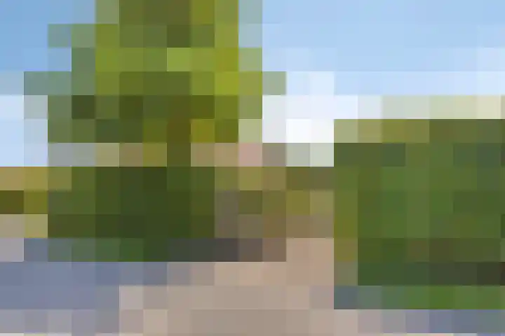 Nachtegalenpad 2 C Egmond aan den Hoef thumbnail 66