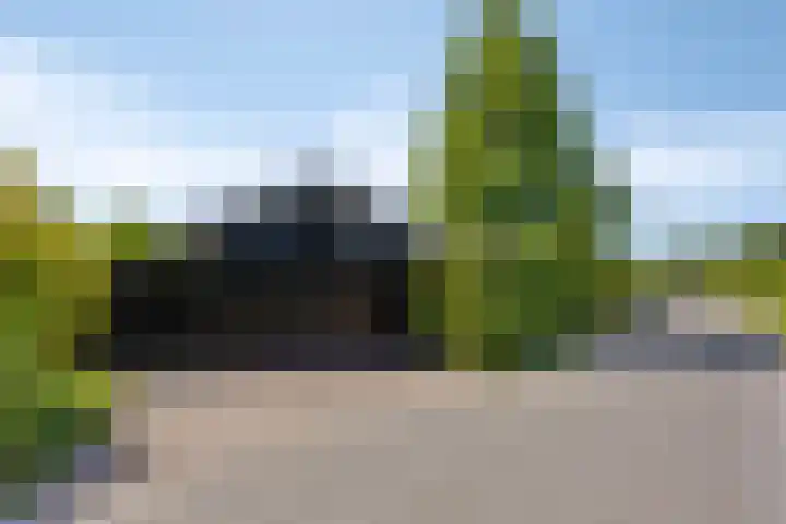 Nachtegalenpad 2 C Egmond aan den Hoef thumbnail 67