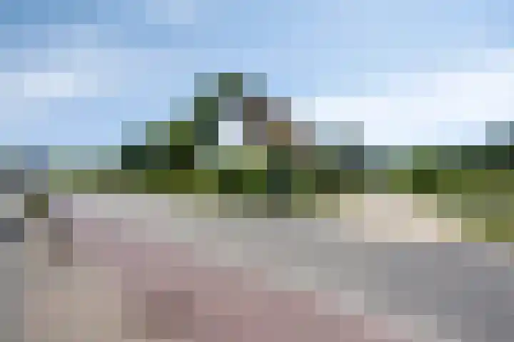 Nachtegalenpad 2 C Egmond aan den Hoef thumbnail 68