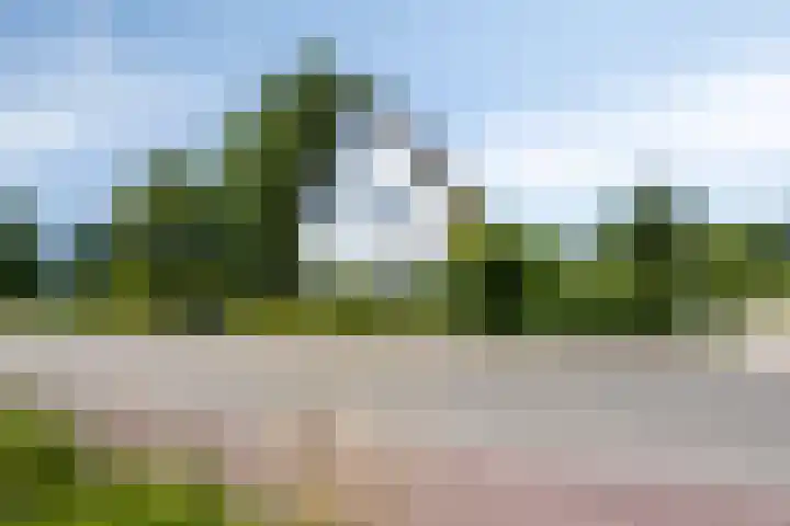 Nachtegalenpad 2 C Egmond aan den Hoef thumbnail 69
