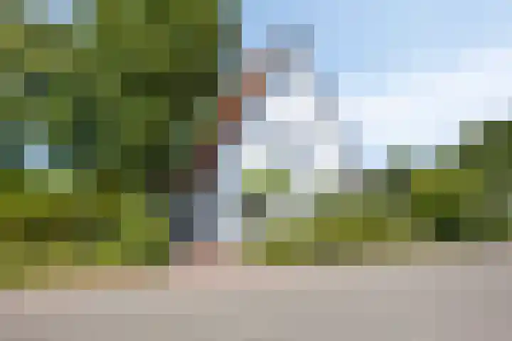 Nachtegalenpad 2 C Egmond aan den Hoef thumbnail 7