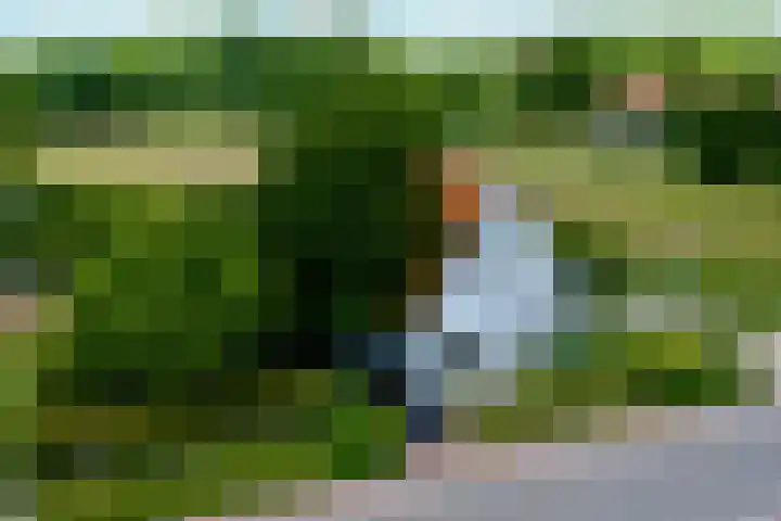 Nachtegalenpad 2 C Egmond aan den Hoef thumbnail 70