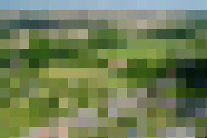 Nachtegalenpad 2 C Egmond aan den Hoef thumbnail 72