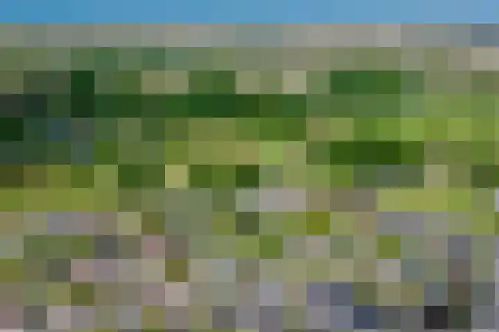 Nachtegalenpad 2 C Egmond aan den Hoef thumbnail 73