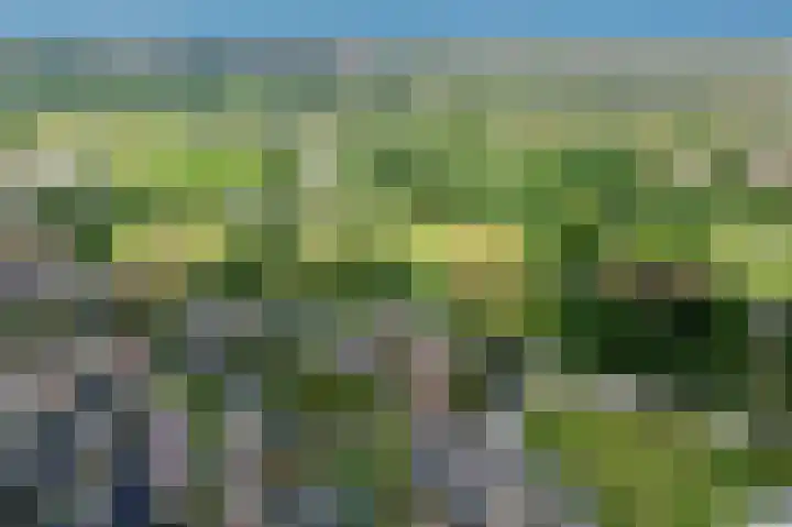 Nachtegalenpad 2 C Egmond aan den Hoef thumbnail 74