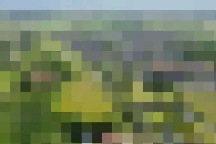 Nachtegalenpad 2 C Egmond aan den Hoef thumbnail 75