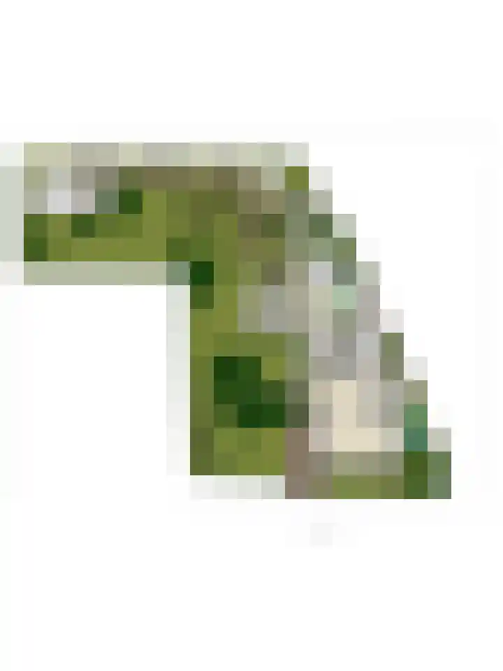 Nachtegalenpad 2 C Egmond aan den Hoef thumbnail 76