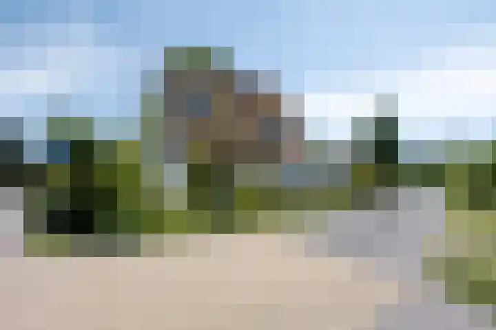 Nachtegalenpad 2 C Egmond aan den Hoef thumbnail 8