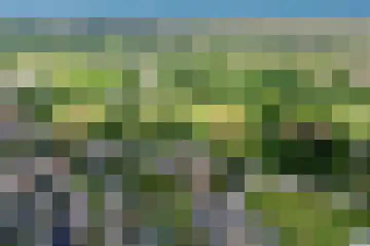 Nachtegalenpad 2 C Egmond aan den Hoef thumbnail 85
