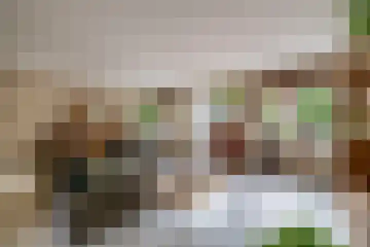 Nachtegalenpark 10 Assendelft thumbnail 12
