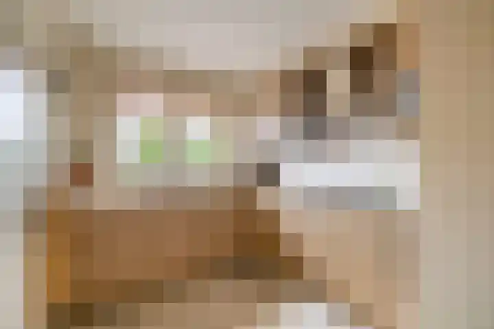 Nachtegalenpark 10 Assendelft thumbnail 16