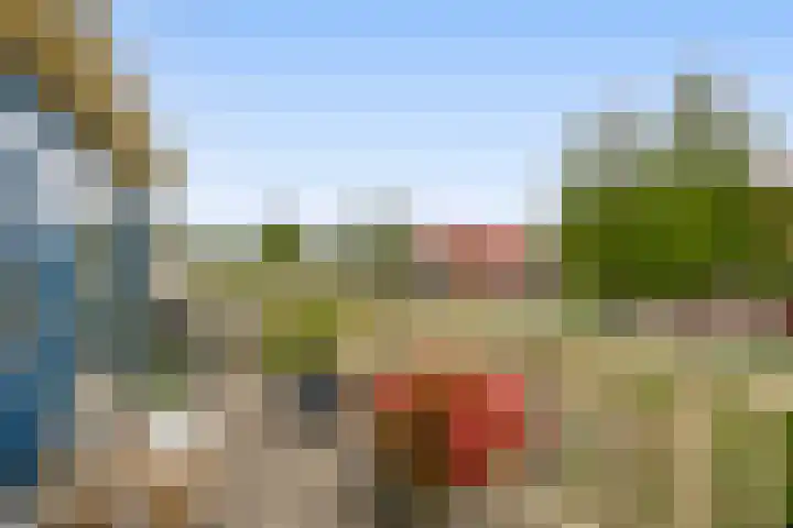 Nachtegalenpark 10 Assendelft thumbnail 21