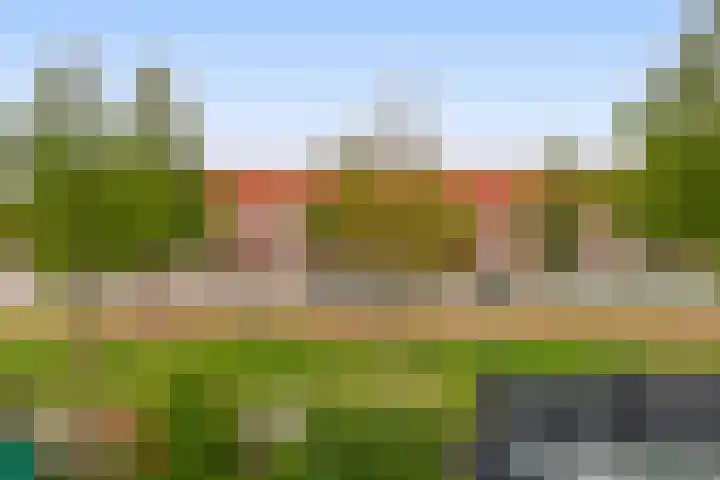 Nachtegalenpark 10 Assendelft thumbnail 22