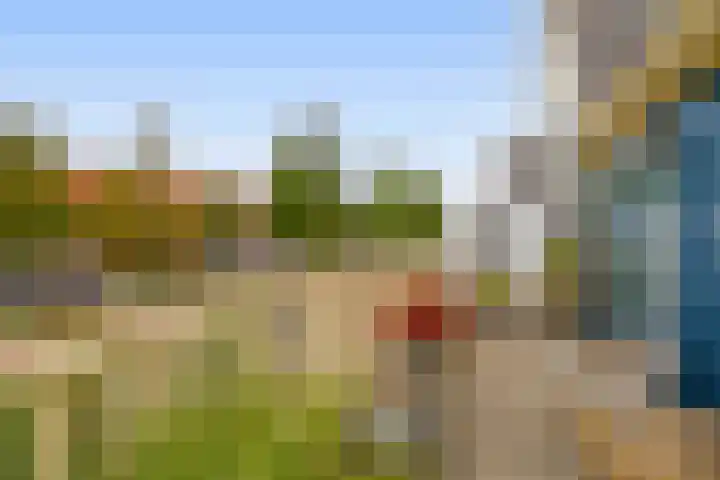 Nachtegalenpark 10 Assendelft thumbnail 23