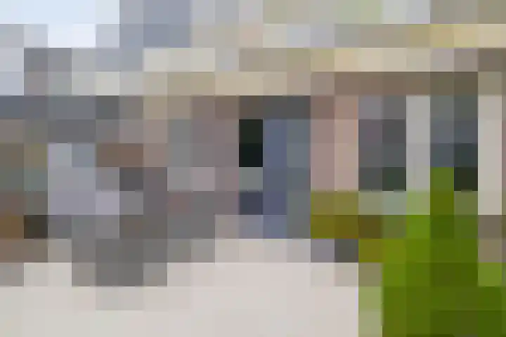 Nachtegalenpark 10 Assendelft thumbnail 33