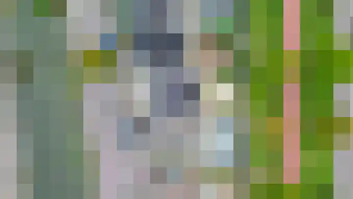 Nachtegalenpark 10 Assendelft thumbnail 38