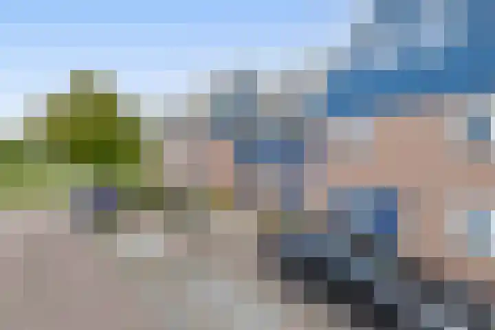 Nachtegalenpark 10 Assendelft thumbnail 40