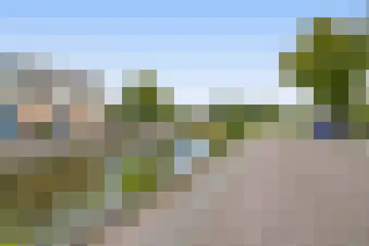 Nachtegalenpark 10 Assendelft thumbnail 41