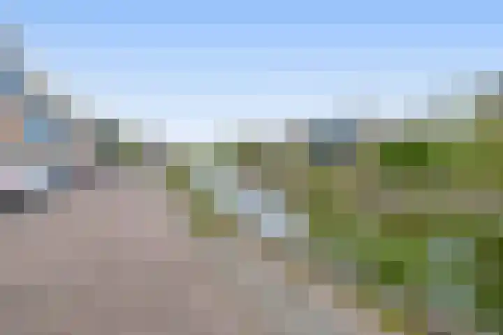 Nachtegalenpark 10 Assendelft thumbnail 42