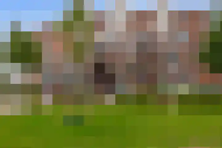 Nachtegalenpark 10 Assendelft thumbnail 46